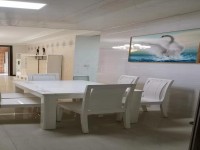 其它图