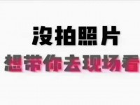 其它图