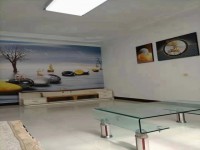 其它图