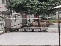 其它图