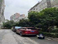 其它图