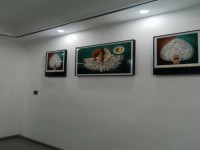 其它图