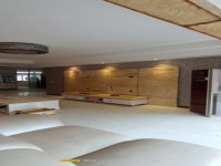 其它图