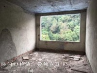 其它图