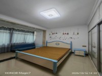 其它图