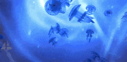 1565865222116715.gif 640 (3).gif