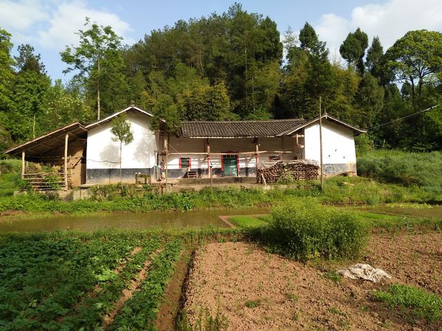 明确了祁东农村有宅基地老房子的注意